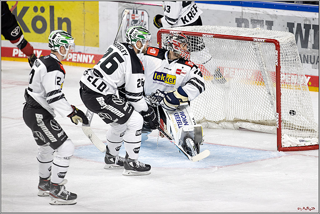 PENNY DEL;  Koelner Haie - Krefeld Pinguine; Koeln, 31.10.2021